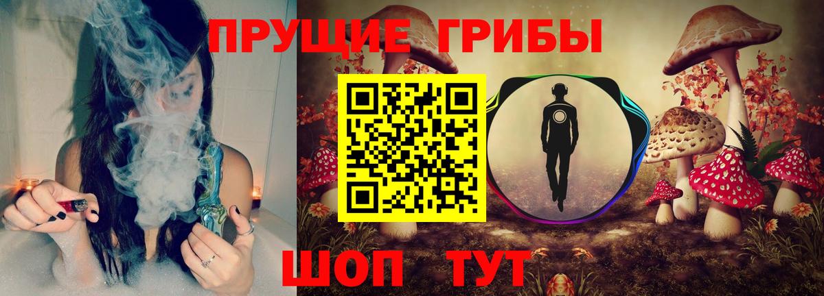 Хасавюрт  купить наркоту  Вход с VPN  Псилоцибиновые грибы Cubensis 
